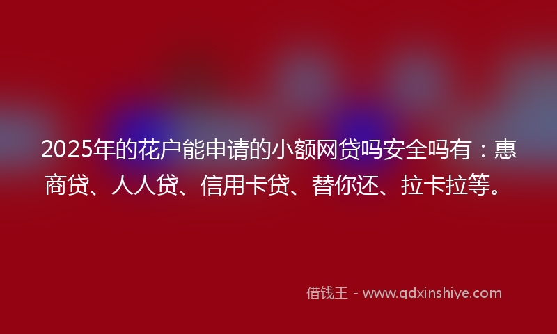 2025年的花户能申请的小额网贷吗安全吗有:惠商贷、人人贷、信用卡贷、替你还、拉卡拉等。
