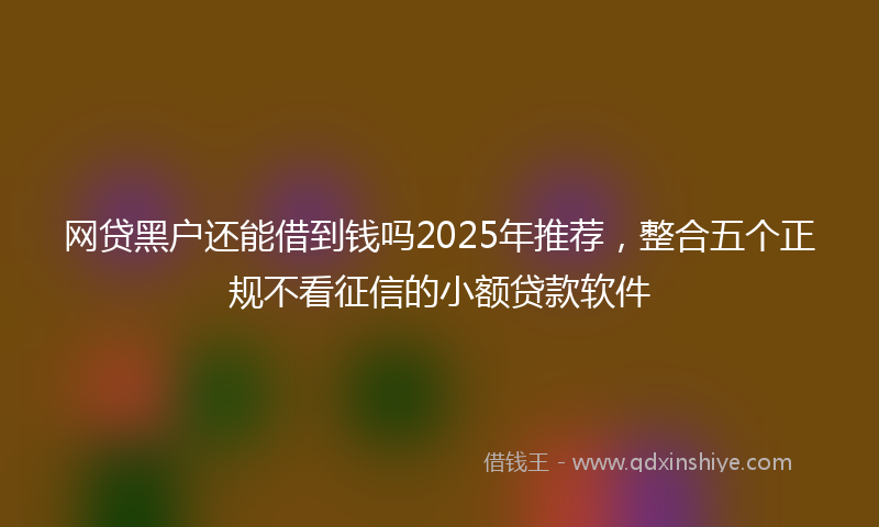 网贷黑户还能借到钱吗2025年推荐，整合五个正规不看征信的小额贷款软件