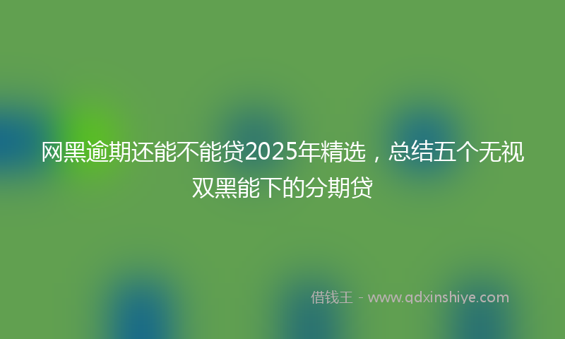网黑逾期还能不能贷2025年精选，总结五个无视双黑能下的分期贷