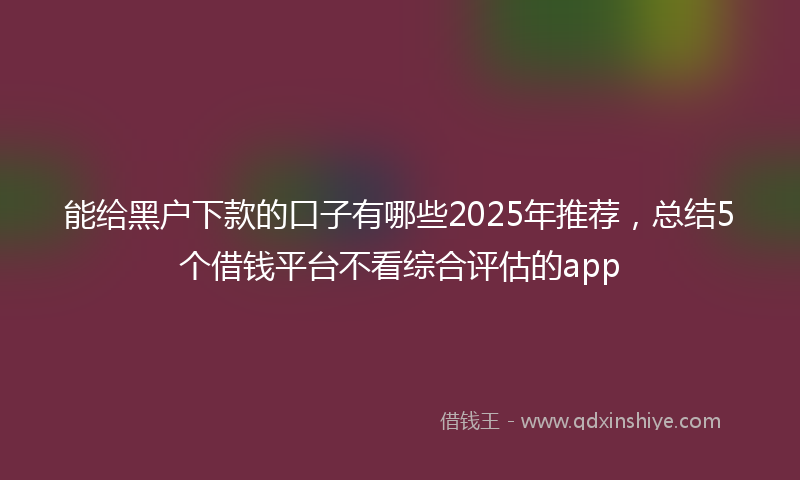 能给黑户下款的口子有哪些2025年推荐，总结5个借钱平台不看综合评估的app