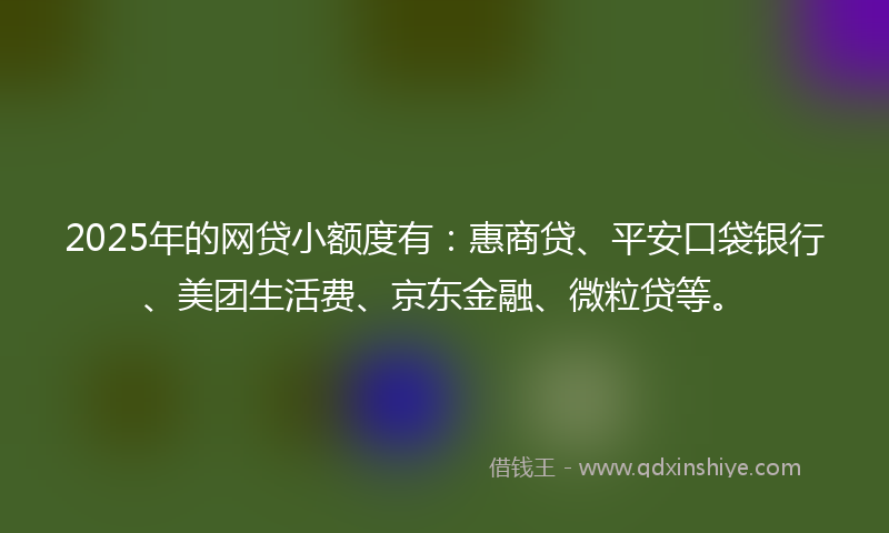 2025年的网贷小额度有：惠商贷、平安口袋银行、美团生活费、京东金融、微粒贷等。
