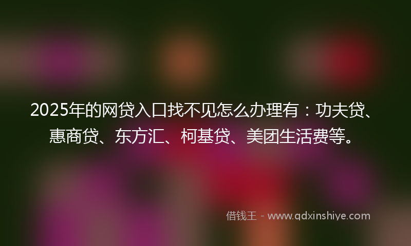 2025年的网贷入口找不见怎么办理有：功夫贷、惠商贷、东方汇、柯基贷、美团生活费等。
