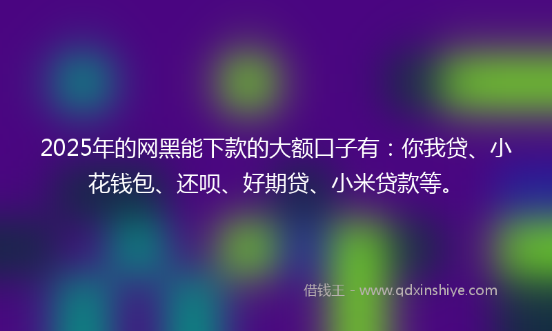 2025年的网黑能下款的大额口子有：你我贷、小花钱包、还呗、好期贷、小米贷款等。