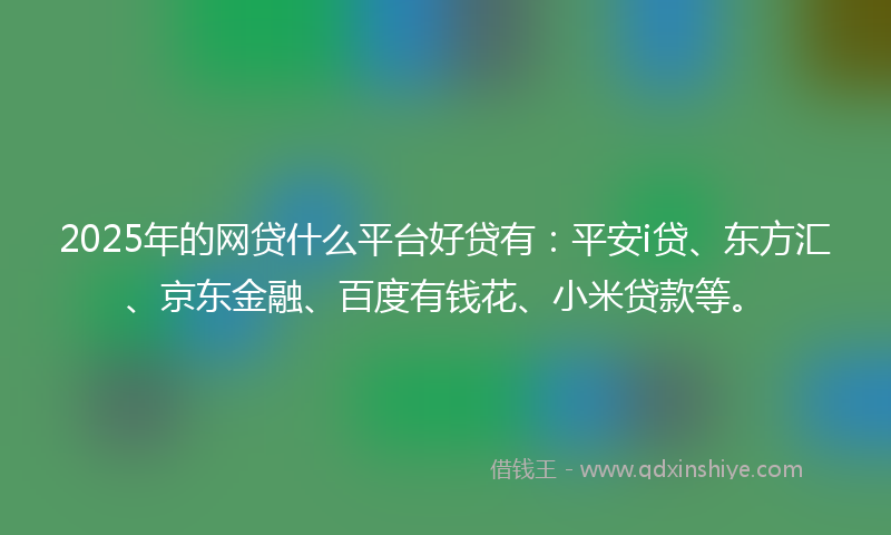 2025年的网贷什么平台好贷有：平安i贷、东方汇、京东金融、百度有钱花、小米贷款等。