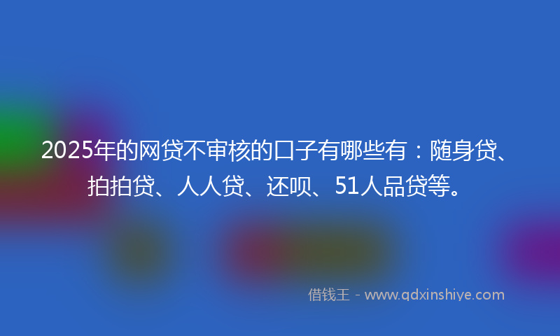 2025年的网贷不审核的口子有哪些有：随身贷、拍拍贷、人人贷、还呗、51人品贷等。