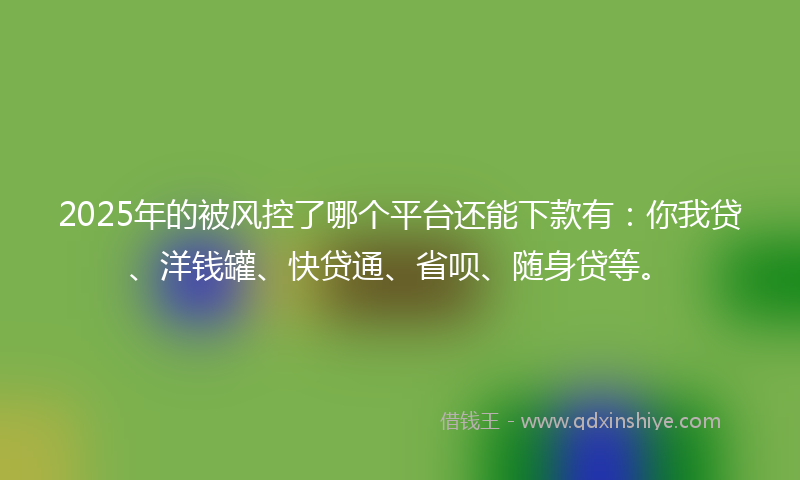2025年的被风控了哪个平台还能下款有：你我贷、洋钱罐、快贷通、省呗、随身贷等。