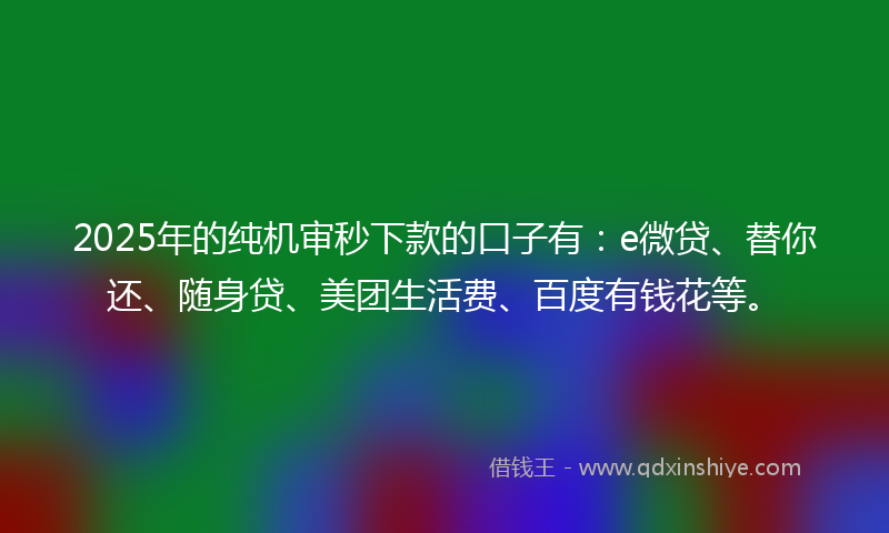 2025年的纯机审秒下款的口子有：e微贷、替你还、随身贷、美团生活费、百度有钱花等。