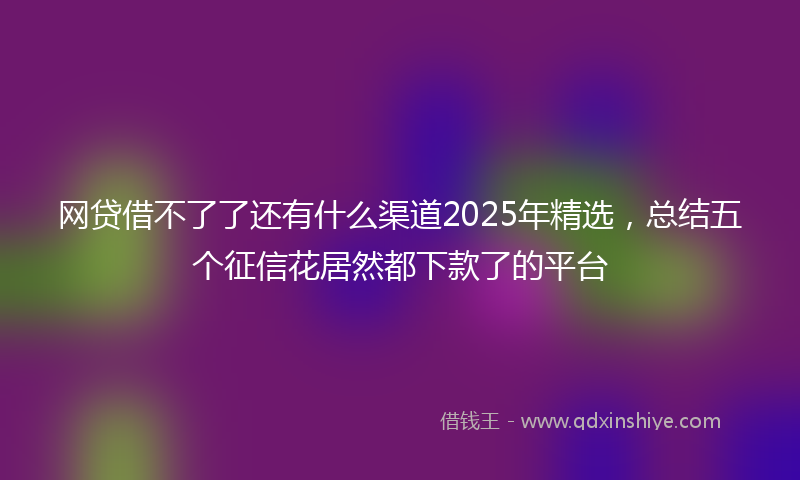 网贷借不了了还有什么渠道2025年精选，总结五个征信花居然都下款了的平台