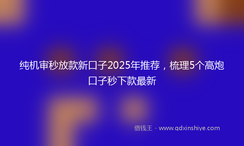纯机审秒放款新口子2025年推荐，梳理5个高炮口子秒下款最新