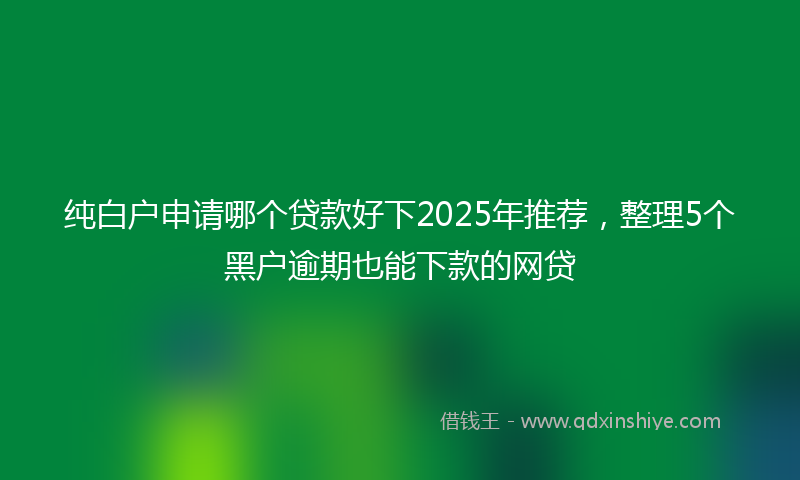 纯白户申请哪个贷款好下2025年推荐，整理5个黑户逾期也能下款的网贷