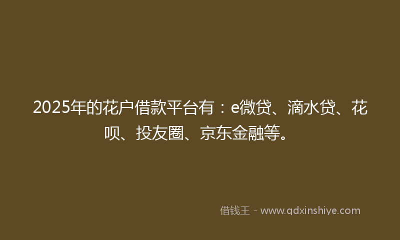 2025年的花户借款平台有：e微贷、滴水贷、花呗、投友圈、京东金融等。