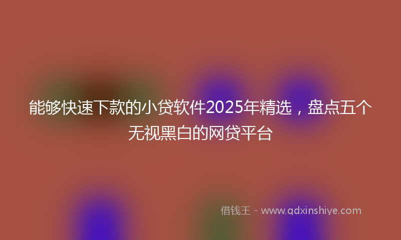 能够快速下款的小贷软件2025年精选，盘点五个无视黑白的网贷平台