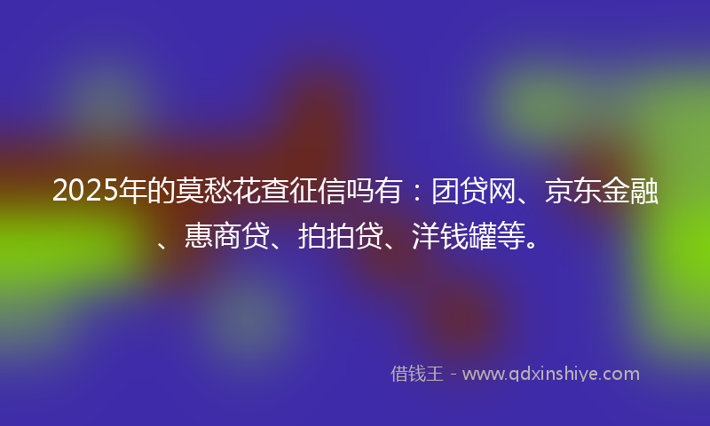 2025年的莫愁花查征信吗有：团贷网、京东金融、惠商贷、拍拍贷、洋钱罐等。