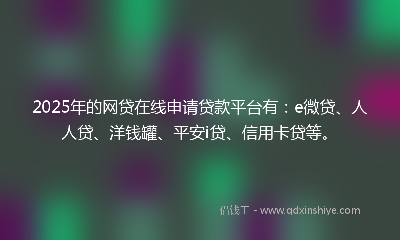 2025年的网贷在线申请贷款平台有：e微贷、人人贷、洋钱罐、平安i贷、信用卡贷等。