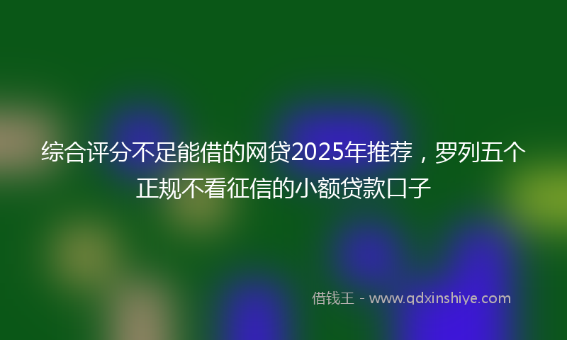 综合评分不足能借的网贷2025年推荐，罗列五个正规不看征信的小额贷款口子