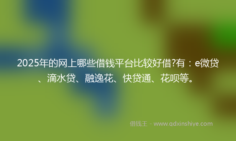 2025年的网上哪些借钱平台比较好借?有：e微贷、滴水贷、融逸花、快贷通、花呗等。