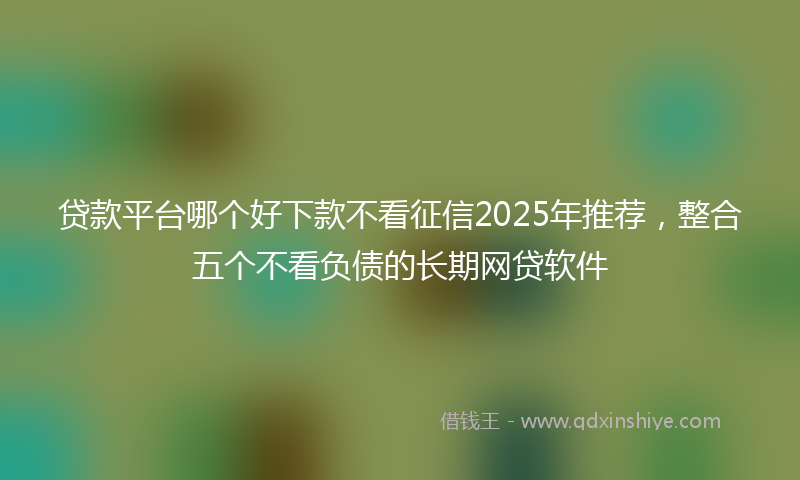 贷款平台哪个好下款不看征信2025年推荐，整合五个不看负债的长期网贷软件