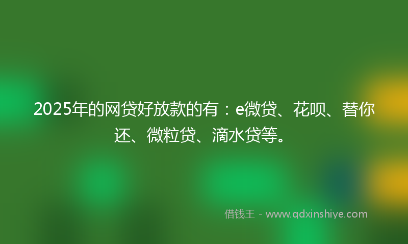 2025年的网贷好放款的有：e微贷、花呗、替你还、微粒贷、滴水贷等。