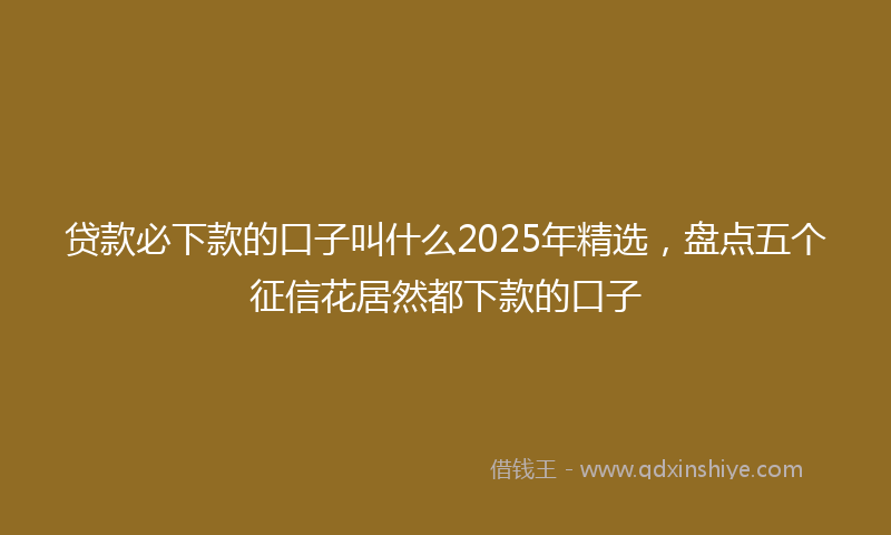 贷款必下款的口子叫什么2025年精选，盘点五个征信花居然都下款的口子
