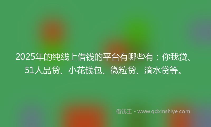 2025年的纯线上借钱的平台有哪些有：你我贷、51人品贷、小花钱包、微粒贷、滴水贷等。