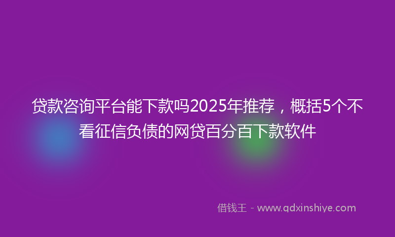 贷款咨询平台能下款吗2025年推荐，概括5个不看征信负债的网贷百分百下款软件