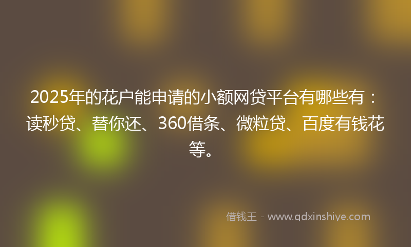 2025年的花户能申请的小额网贷平台有哪些有：读秒贷、替你还、360借条、微粒贷、百度有钱花等。