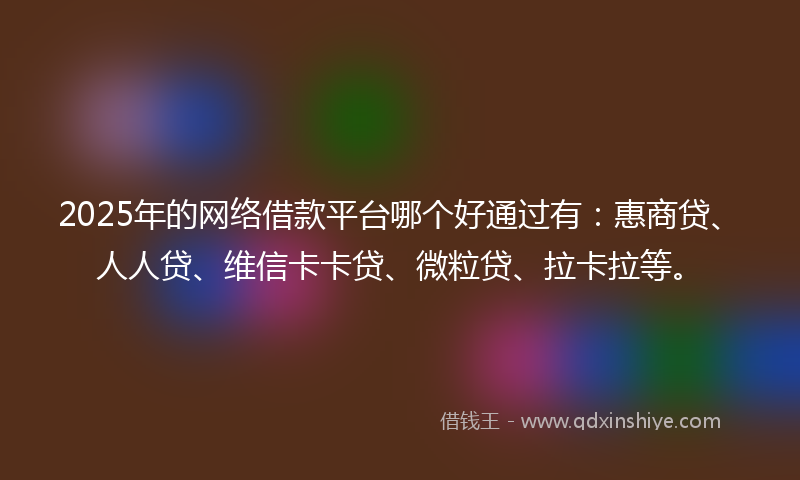 2025年的网络借款平台哪个好通过有：惠商贷、人人贷、维信卡卡贷、微粒贷、拉卡拉等。