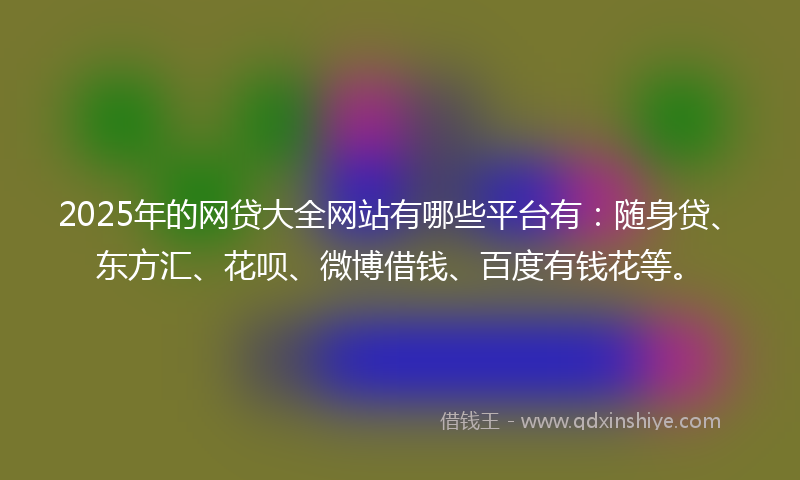 2025年的网贷大全网站有哪些平台有：随身贷、东方汇、花呗、微博借钱、百度有钱花等。