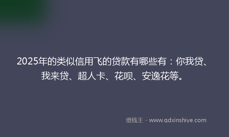 2025年的类似信用飞的贷款有哪些有：你我贷、我来贷、超人卡、花呗、安逸花等。