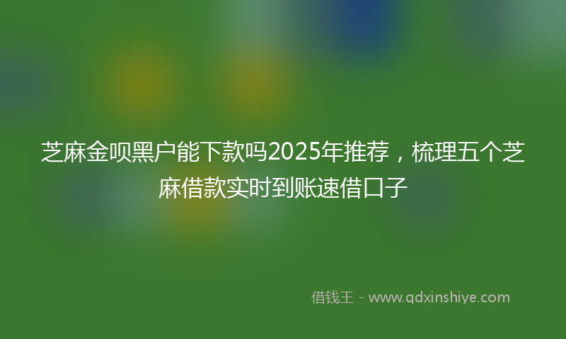 芝麻金呗黑户能下款吗2025年推荐，梳理五个芝麻借款实时到账速借口子