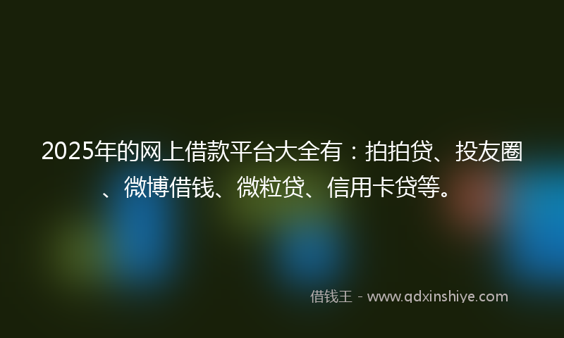 2025年的网上借款平台大全有：拍拍贷、投友圈、微博借钱、微粒贷、信用卡贷等。