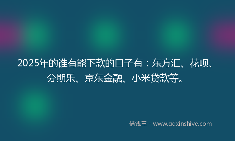 2025年的谁有能下款的口子有：东方汇、花呗、分期乐、京东金融、小米贷款等。