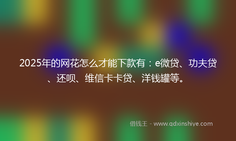 2025年的网花怎么才能下款有：e微贷、功夫贷、还呗、维信卡卡贷、洋钱罐等。