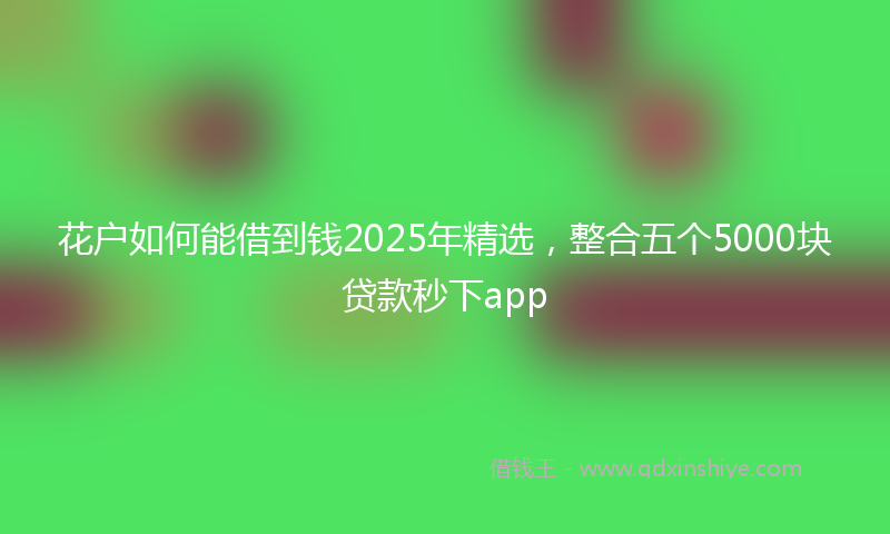 花户如何能借到钱2025年精选，整合五个5000块贷款秒下app