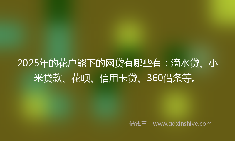 2025年的花户能下的网贷有哪些有：滴水贷、小米贷款、花呗、信用卡贷、360借条等。