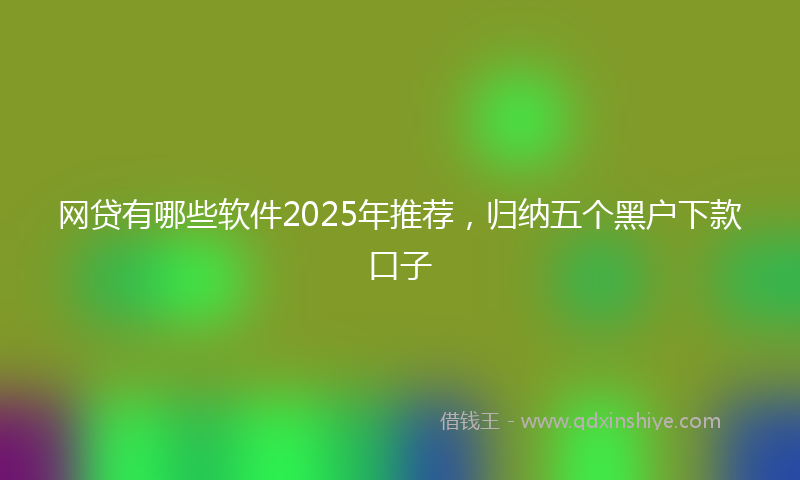 网贷有哪些软件2025年推荐，归纳五个黑户下款口子