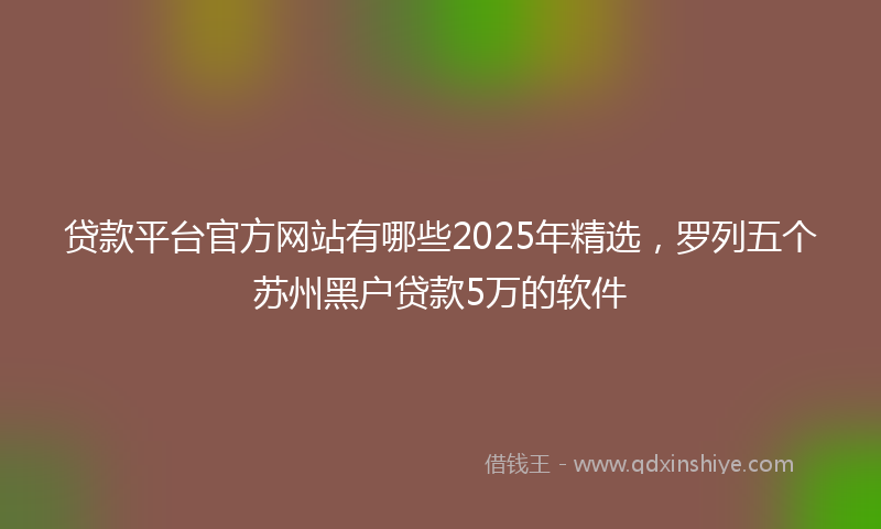 贷款平台官方网站有哪些2025年精选，罗列五个苏州黑户贷款5万的软件