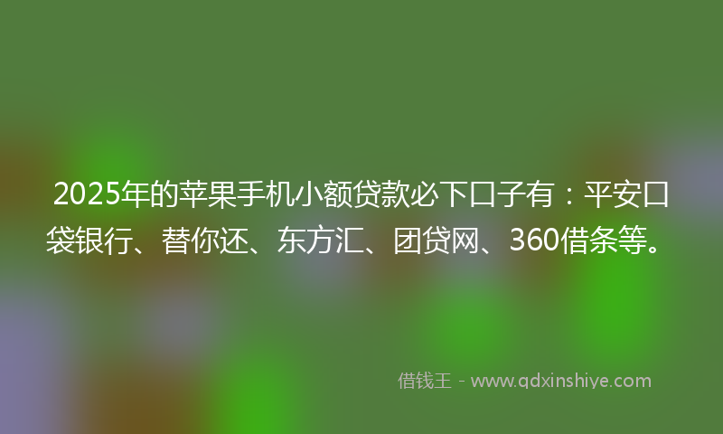 2025年的苹果手机小额贷款必下口子有：平安口袋银行、替你还、东方汇、团贷网、360借条等。