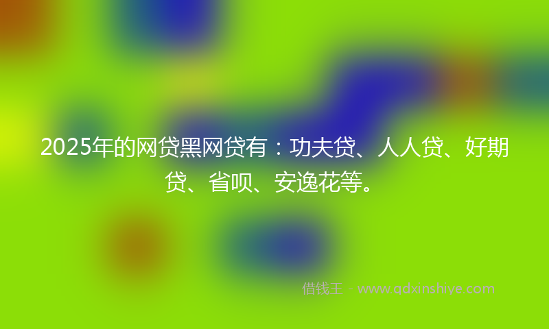 2025年的网贷黑网贷有：功夫贷、人人贷、好期贷、省呗、安逸花等。