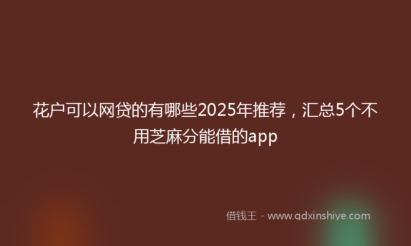 花户可以网贷的有哪些2025年推荐，汇总5个不用芝麻分能借的app