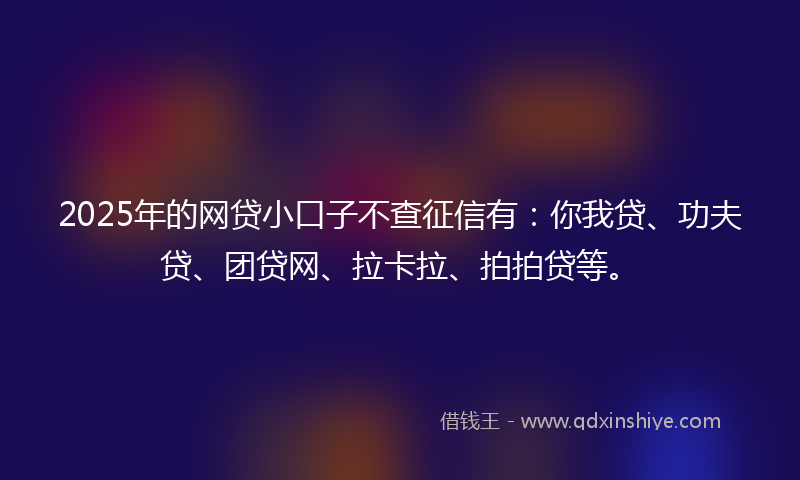 2025年的网贷小口子不查征信有：你我贷、功夫贷、团贷网、拉卡拉、拍拍贷等。