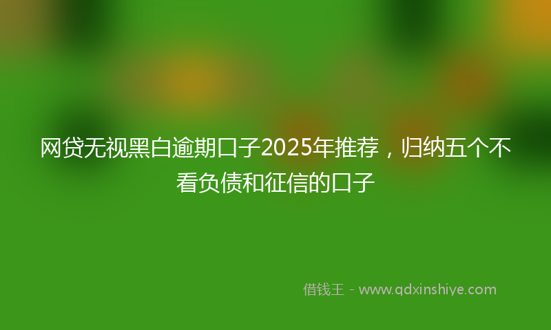 网贷无视黑白逾期口子2025年推荐，归纳五个不看负债和征信的口子