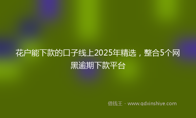 花户能下款的口子线上2025年精选，整合5个网黑逾期下款平台