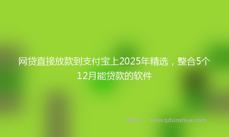 网贷直接放款到支付宝上2025年精选，整合5个12月能贷款的软件