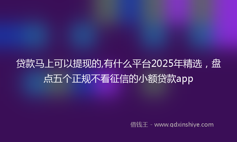 贷款马上可以提现的,有什么平台2025年精选，盘点五个正规不看征信的小额贷款app