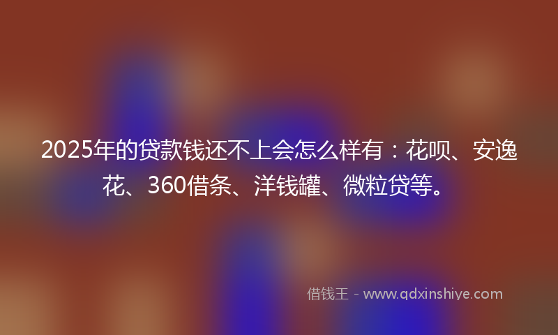 2025年的贷款钱还不上会怎么样有：花呗、安逸花、360借条、洋钱罐、微粒贷等。
