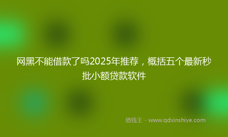 网黑不能借款了吗2025年推荐，概括五个最新秒批小额贷款软件