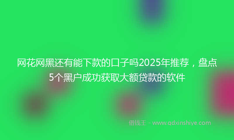 网花网黑还有能下款的口子吗2025年推荐，盘点5个黑户成功获取大额贷款的软件