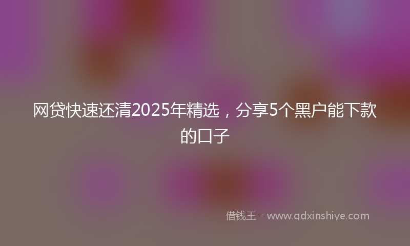 网贷快速还清2025年精选，分享5个黑户能下款的口子
