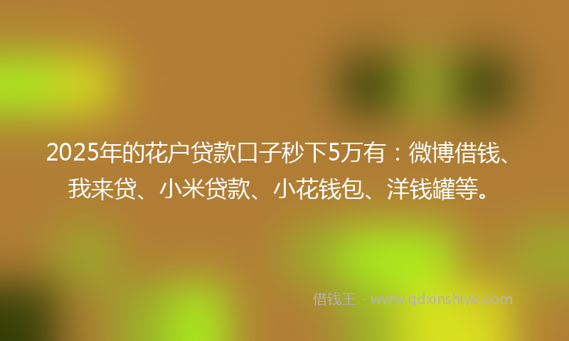 2025年的花户贷款口子秒下5万有：微博借钱、我来贷、小米贷款、小花钱包、洋钱罐等。